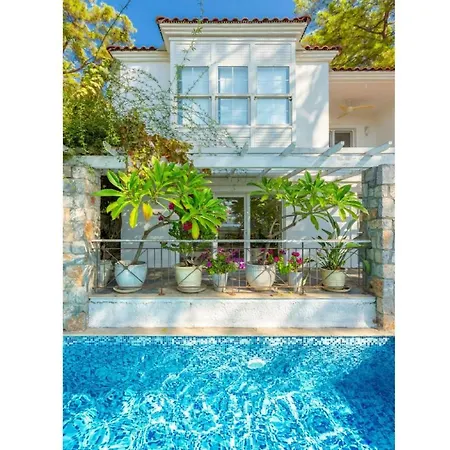Villa Bayview *